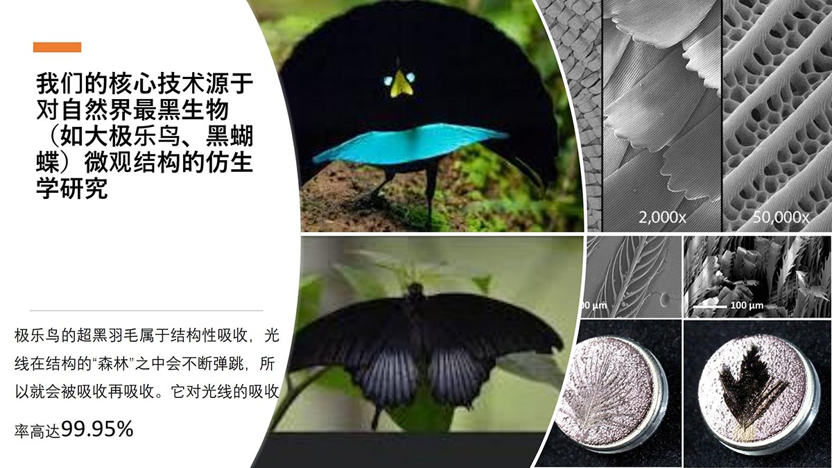 1768295906360522.jpg 1768295906360522.jpg