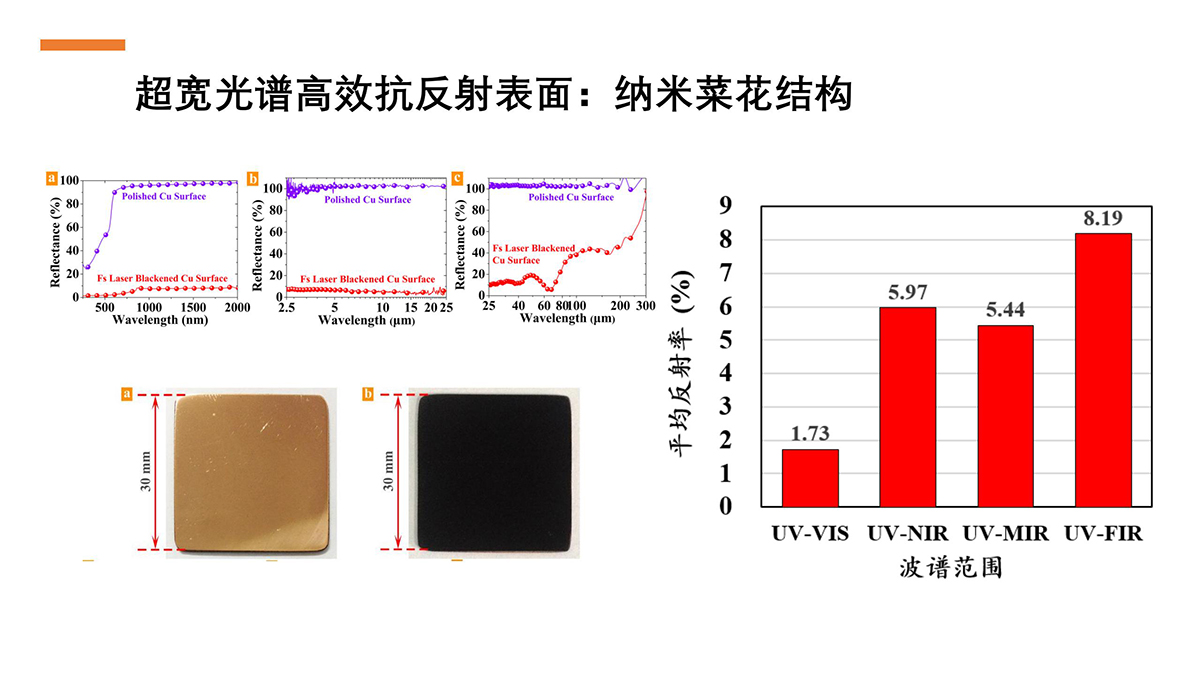 1768295906844769.jpg 1768295906844769.jpg